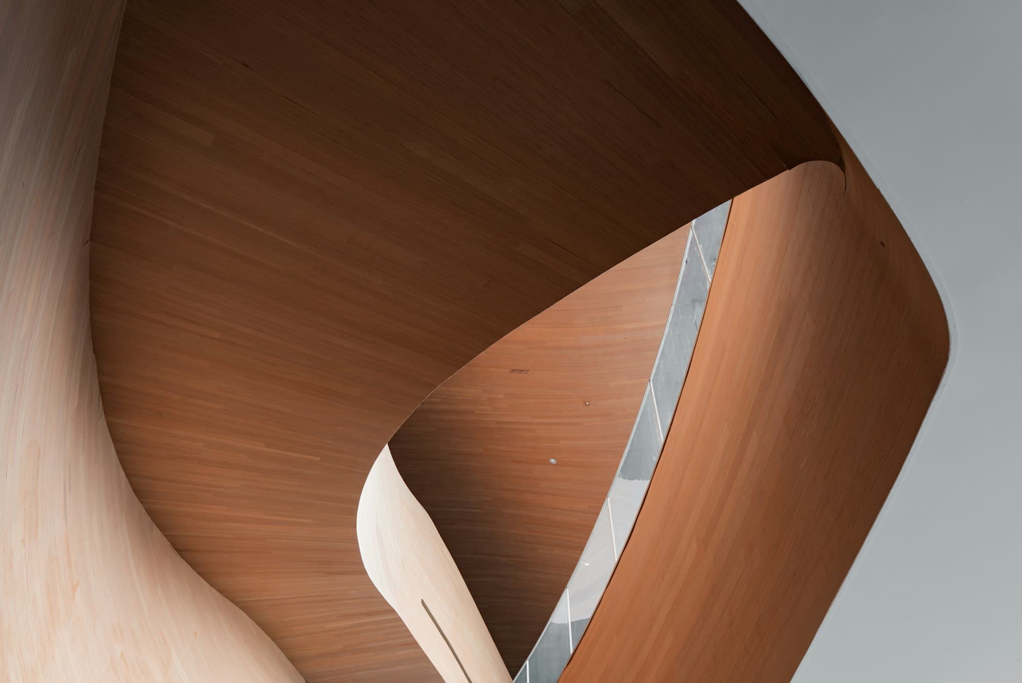Curved laminated-timber roof of House on the Ridge, sweeping toward the valley